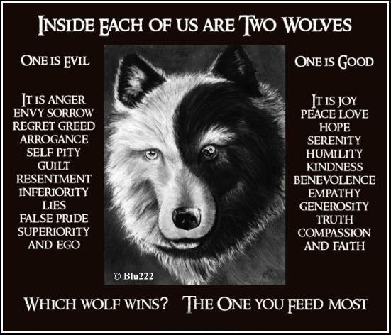 Controversial the latter To seek refuge Cei doi lupi din interiorul meu” … De ce oamenii buni fac lucruri rele? |  psihoechilibru